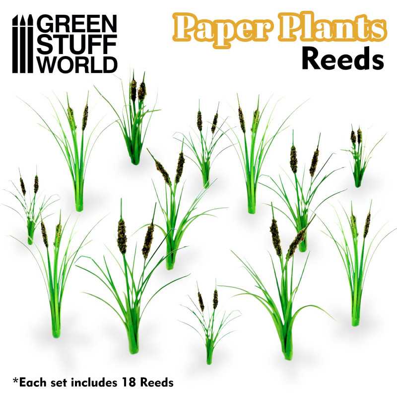 10375 - Paper Plants - Reeds