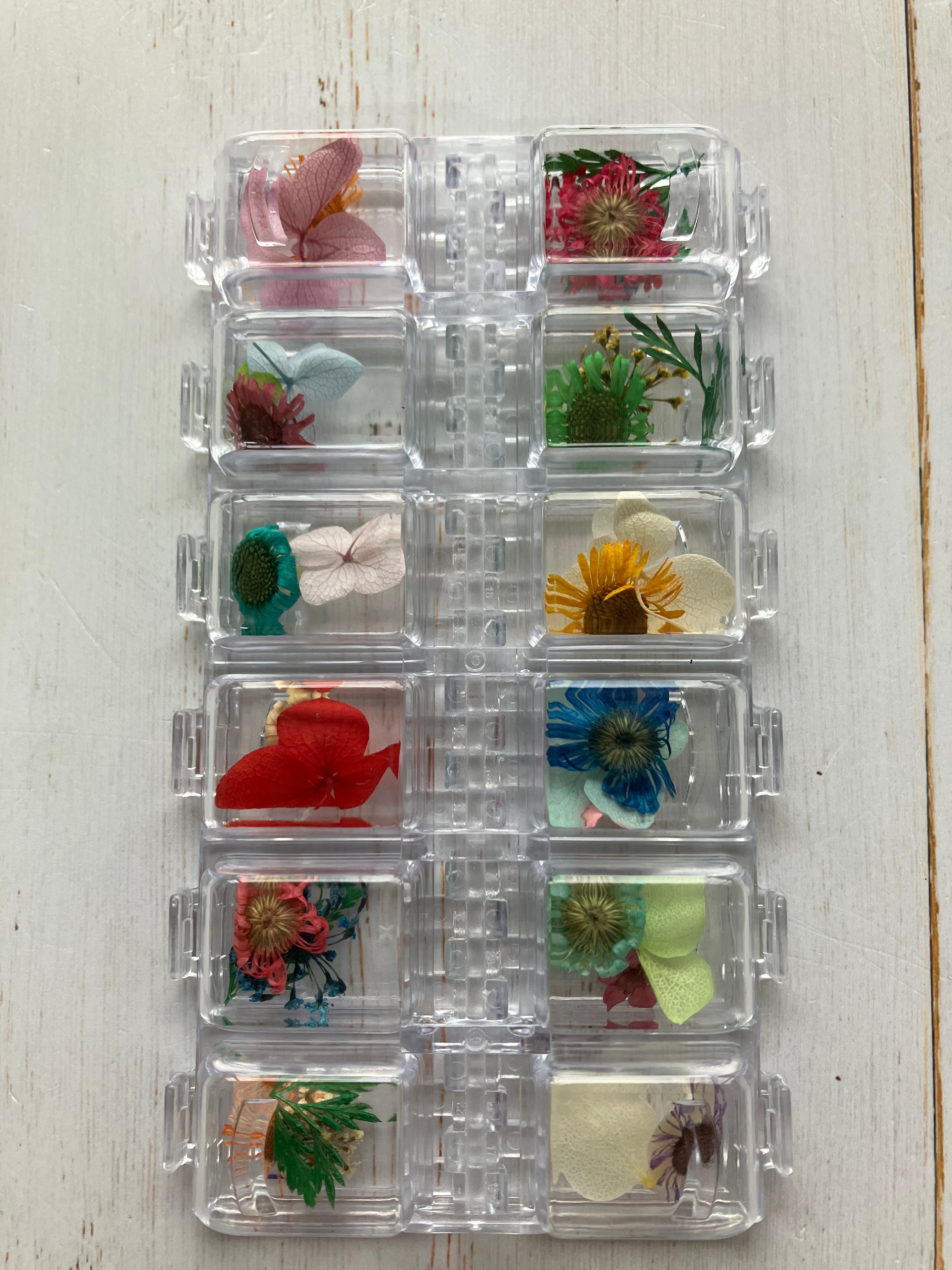C067 - Dried Flowers (24 flowers)