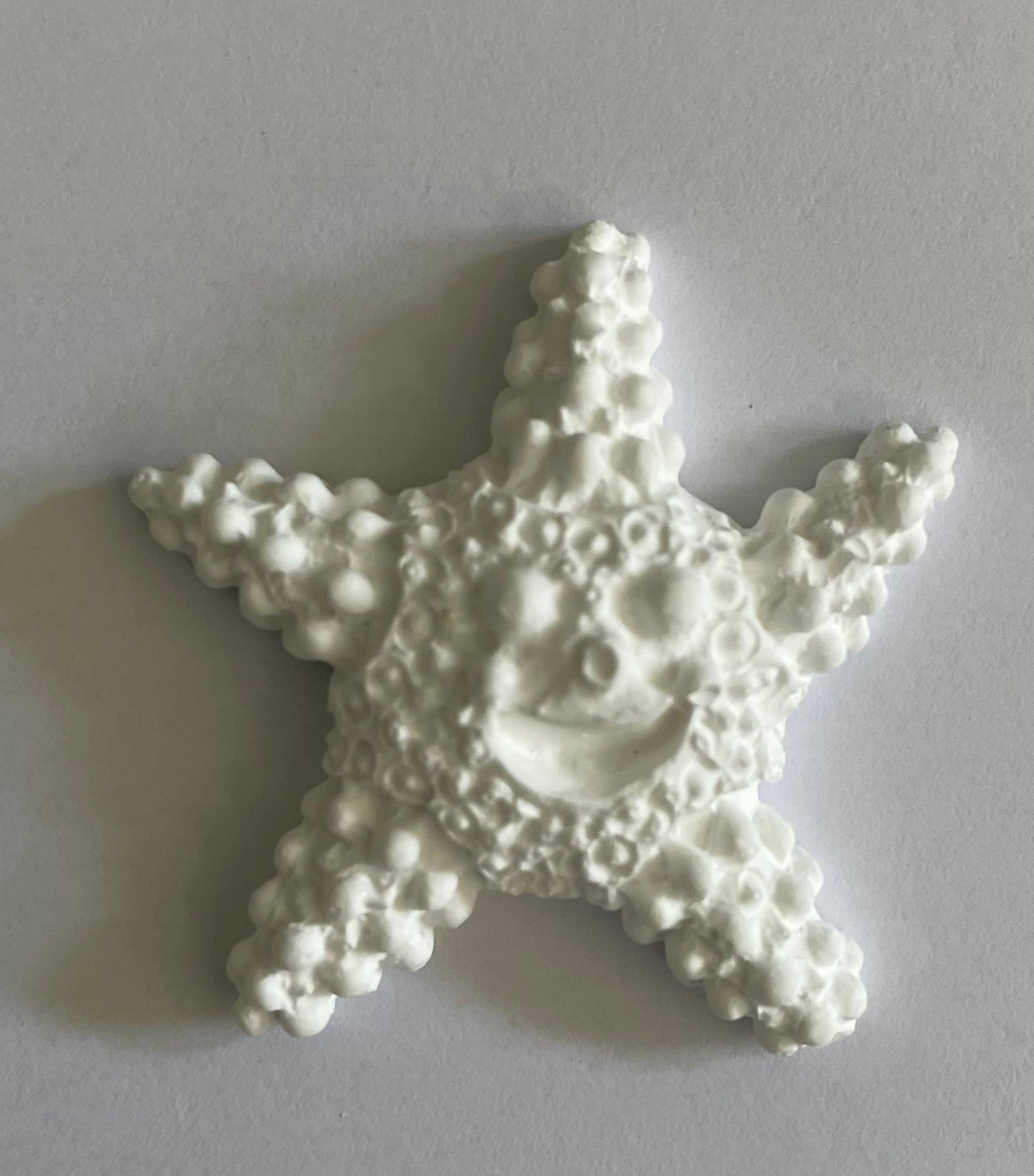 Resinite Starfish