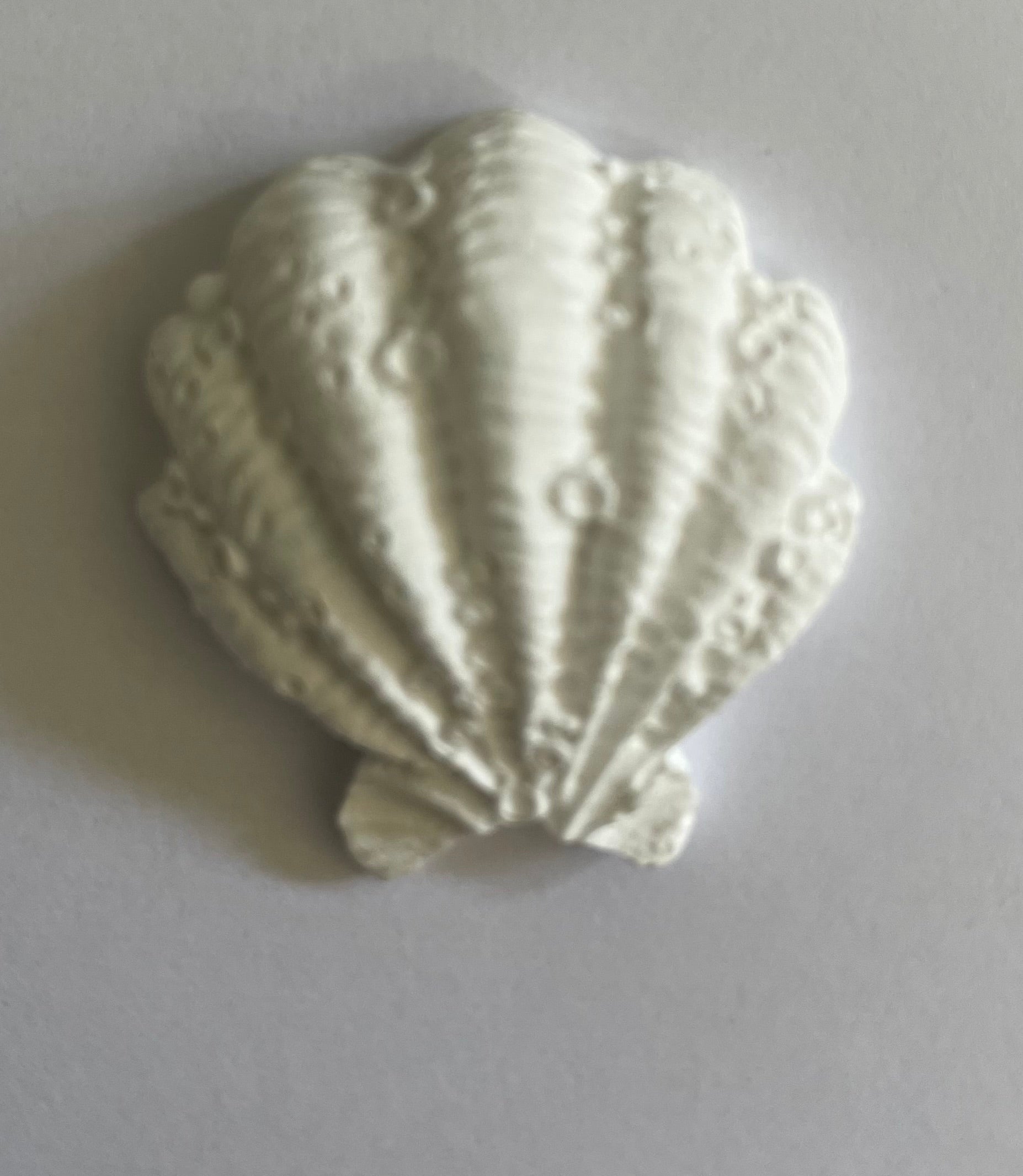 Resinite Clam shell