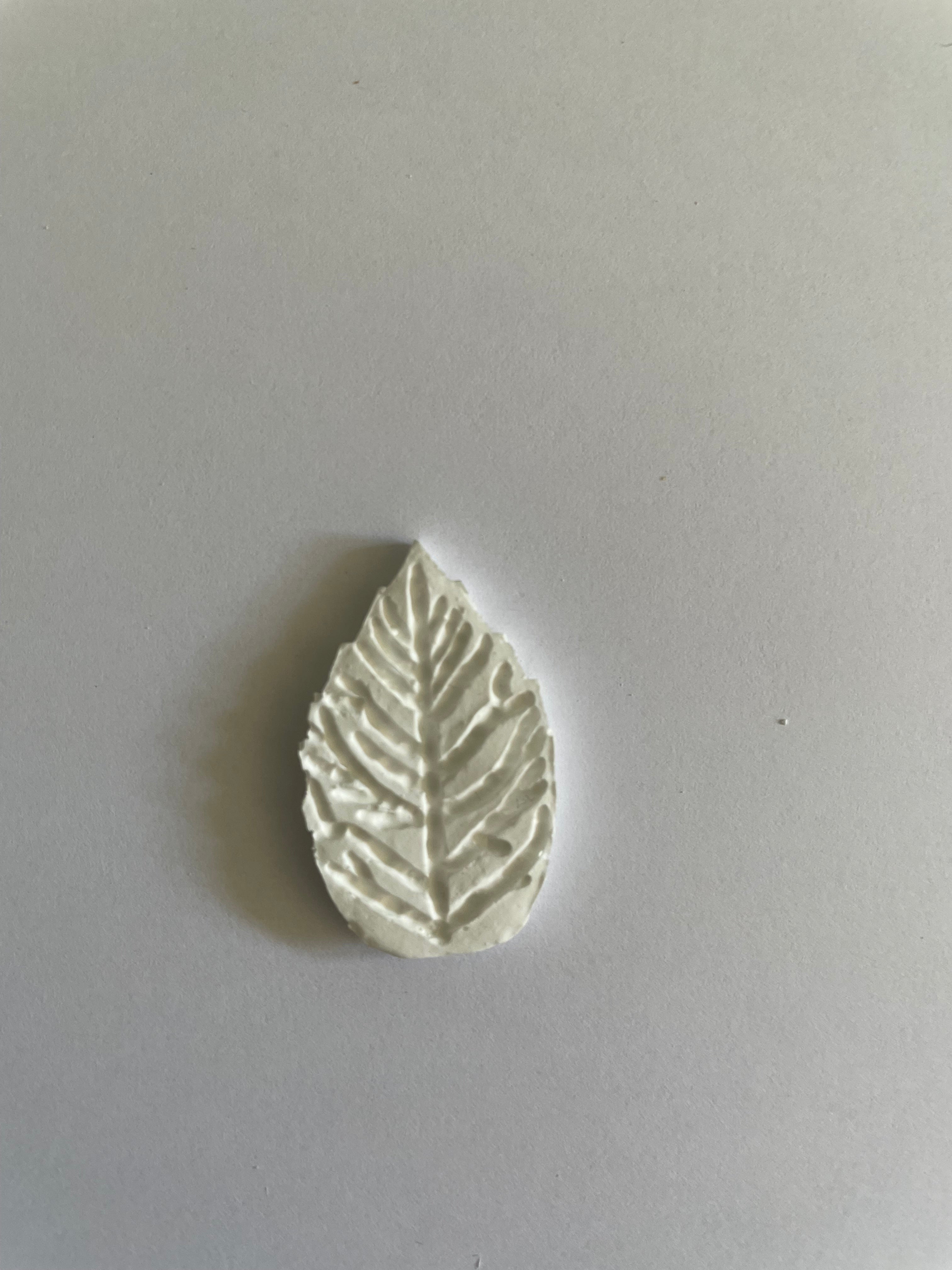 Resinite Leaf