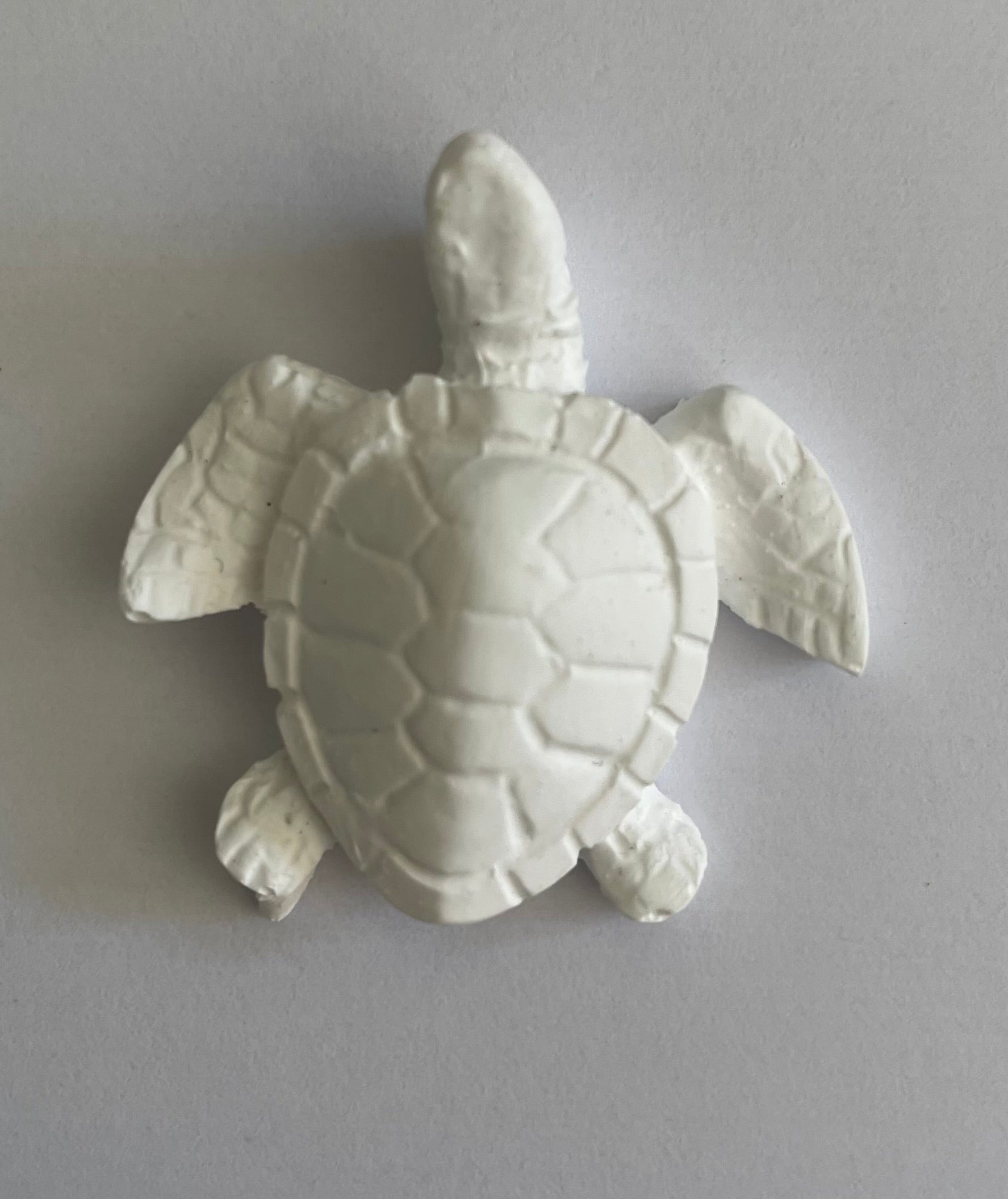 Resinite Turtle
