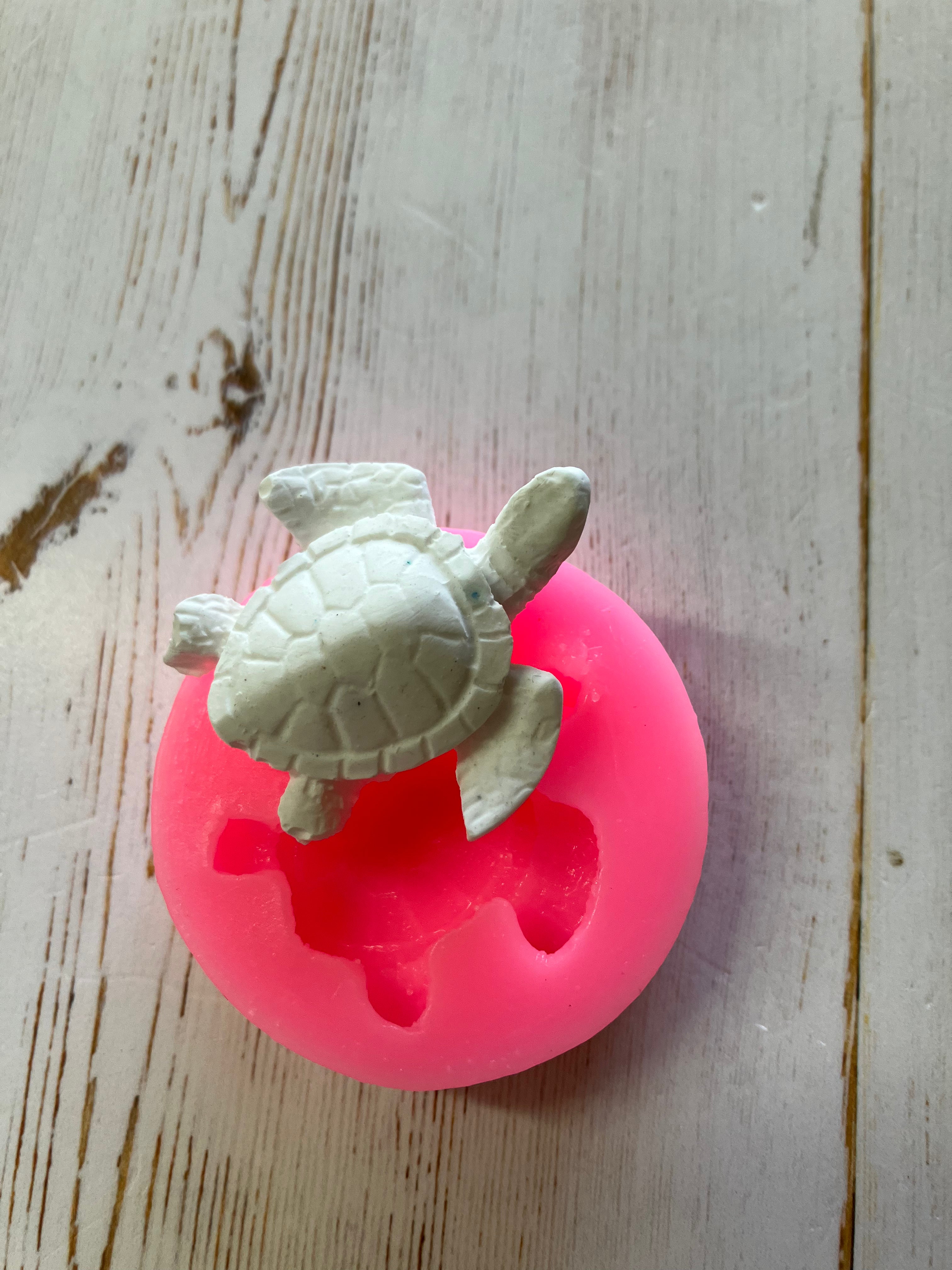 C065 - Turtle Mould