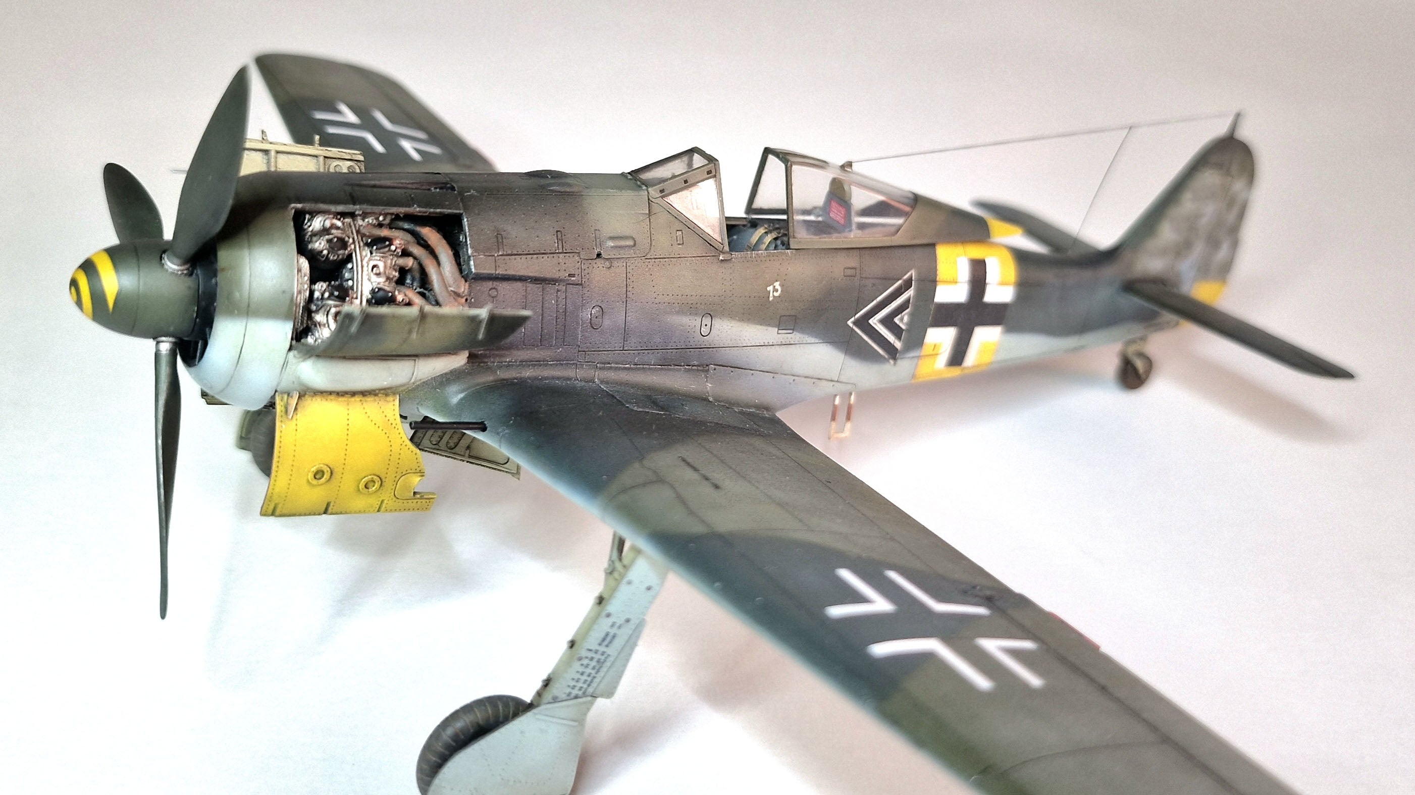 ED84118 - Fw 190A-5 light fighter 1/48 - Weekender