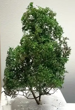 14cm - Model Tree - Forrest Green