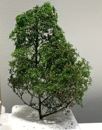 14cm - Model Tree - Spring Green