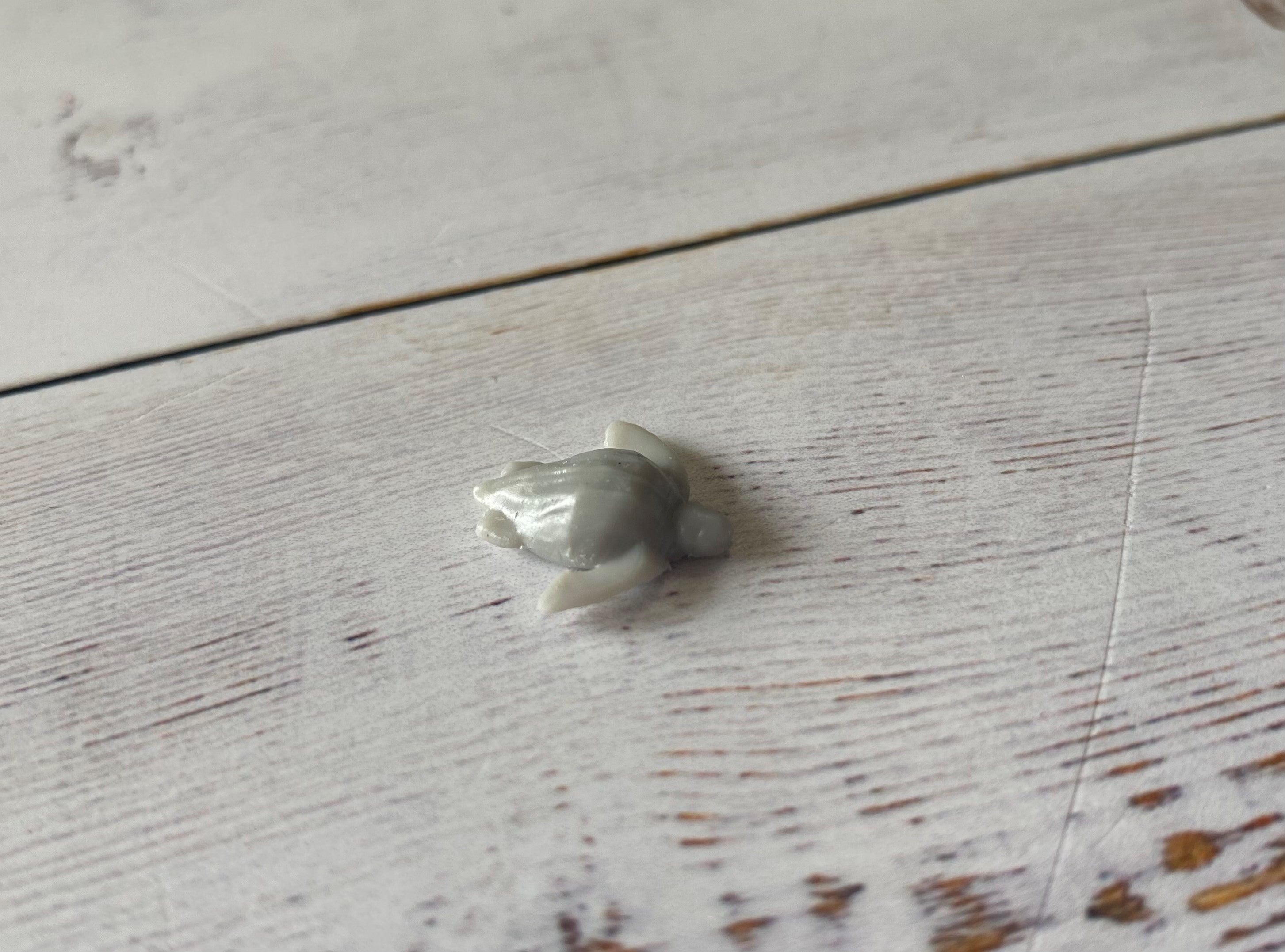 3D Gizmo's - Mini Turtle