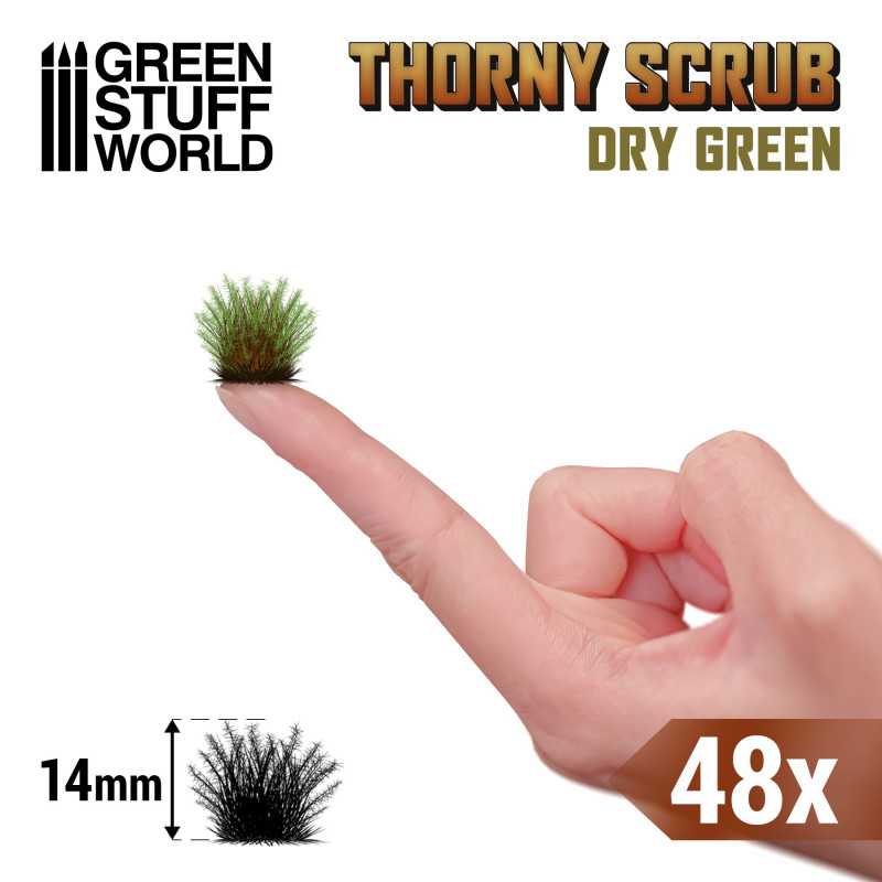 11501 - Thorny Spiky scrub - Dry green