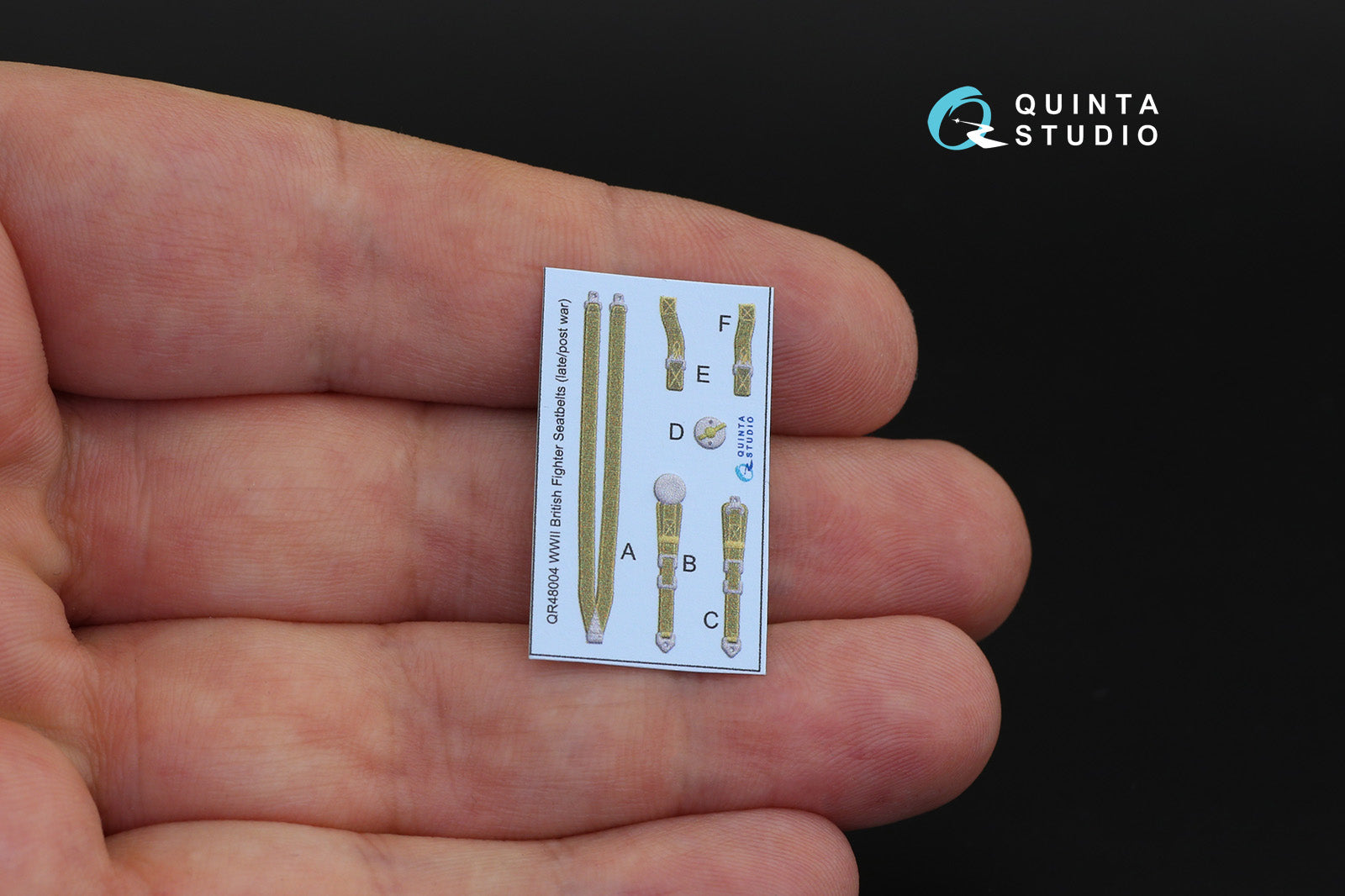 Quinta Studio - 1/48 Tempest Mk.V - QD48191 for Eduard kit