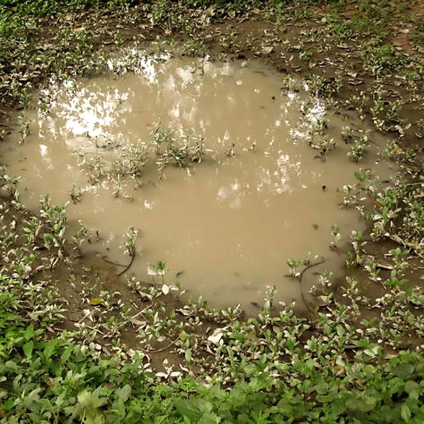 AK8028 - Puddles 60ml