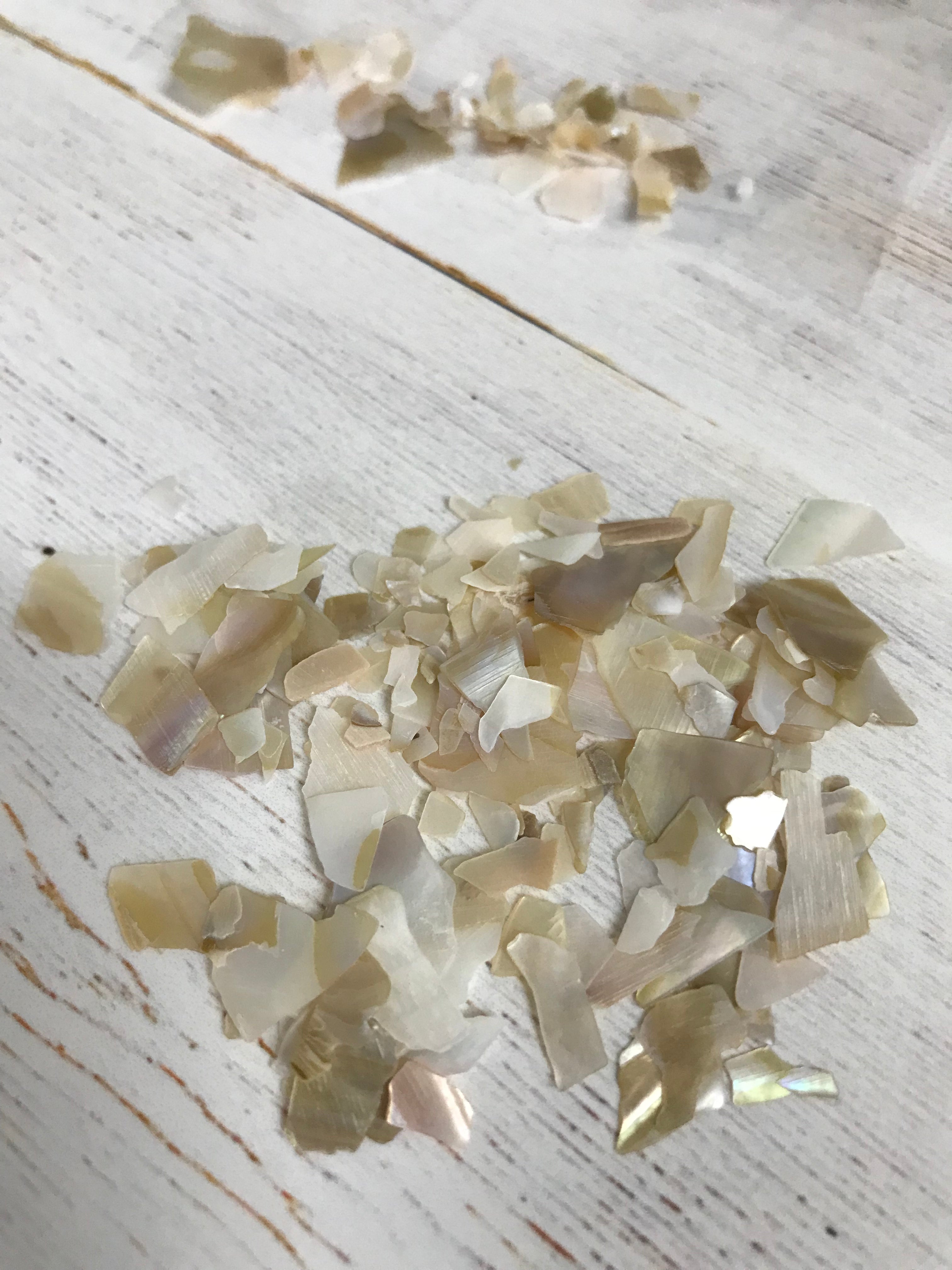 Shell Pieces 5 grams