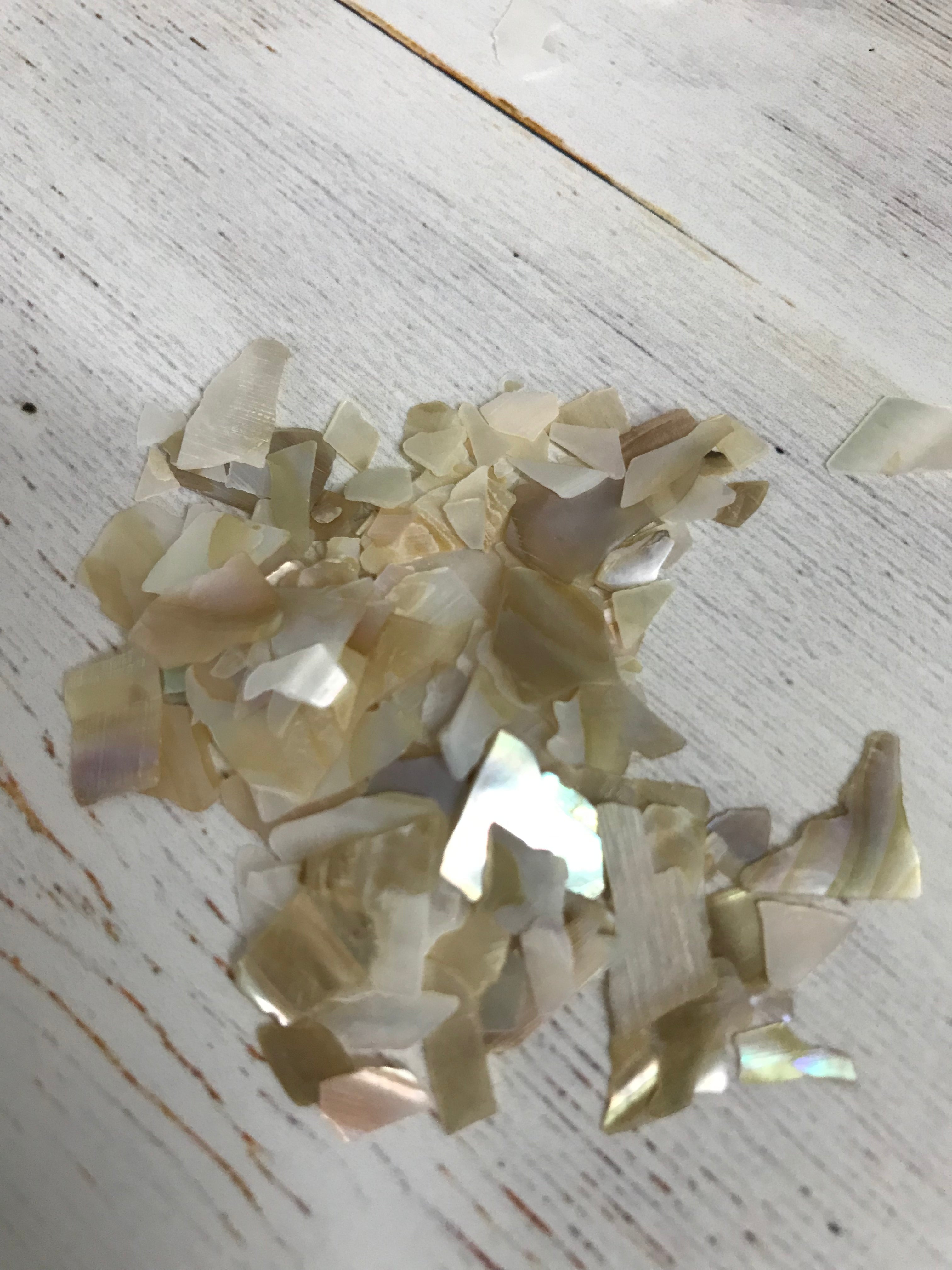 Shell Pieces 5 grams