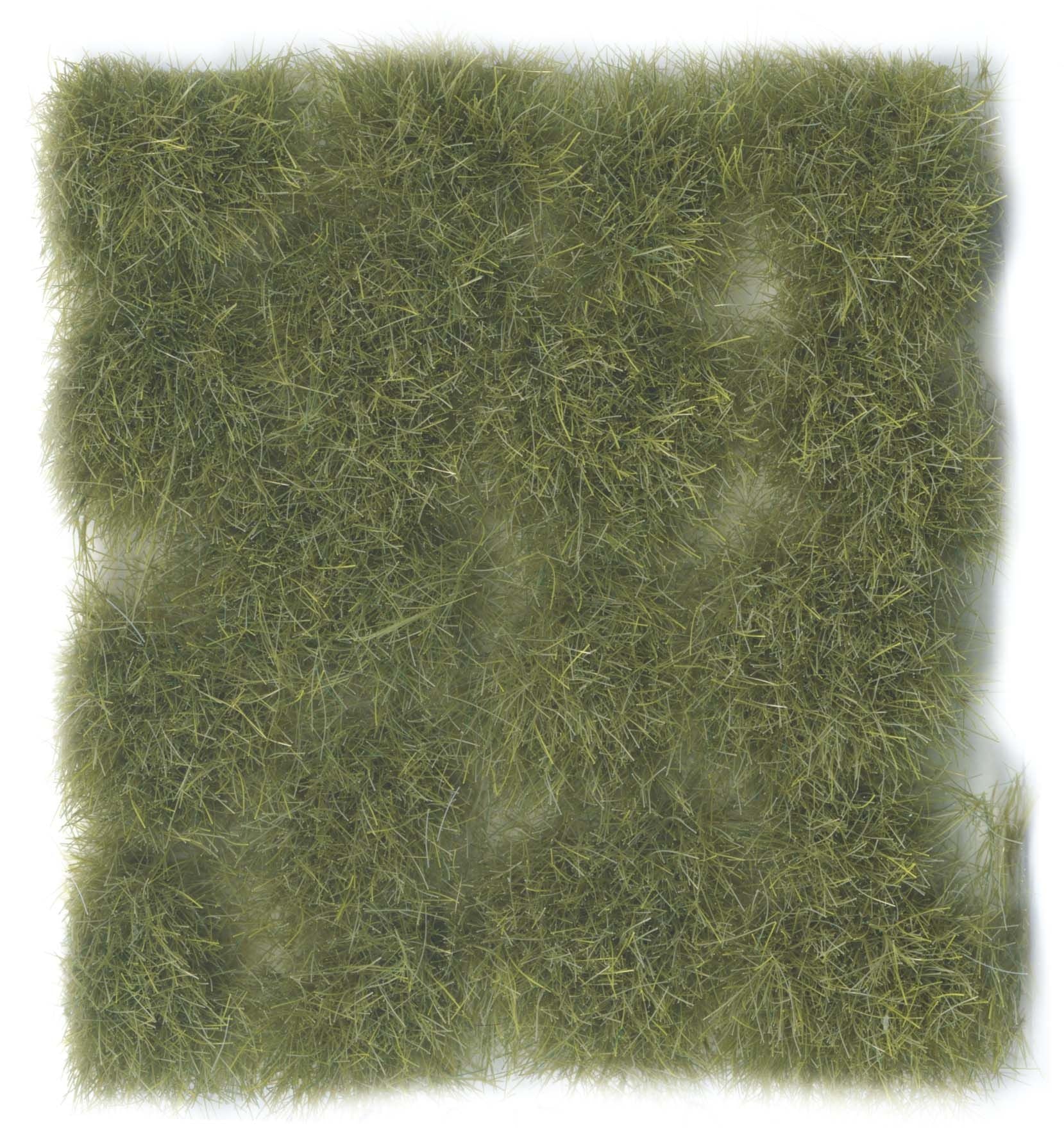 SC424 - Wild Tuft - Dry Green - 12 mm