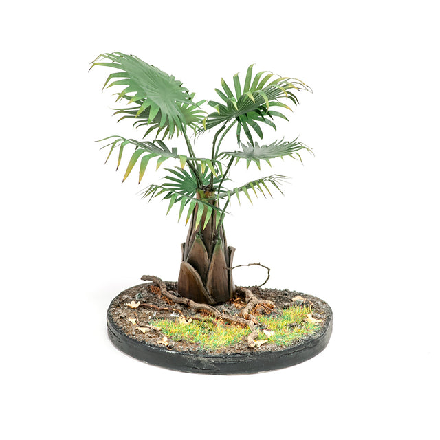S-076 - Livistona Palm Trunk Size M