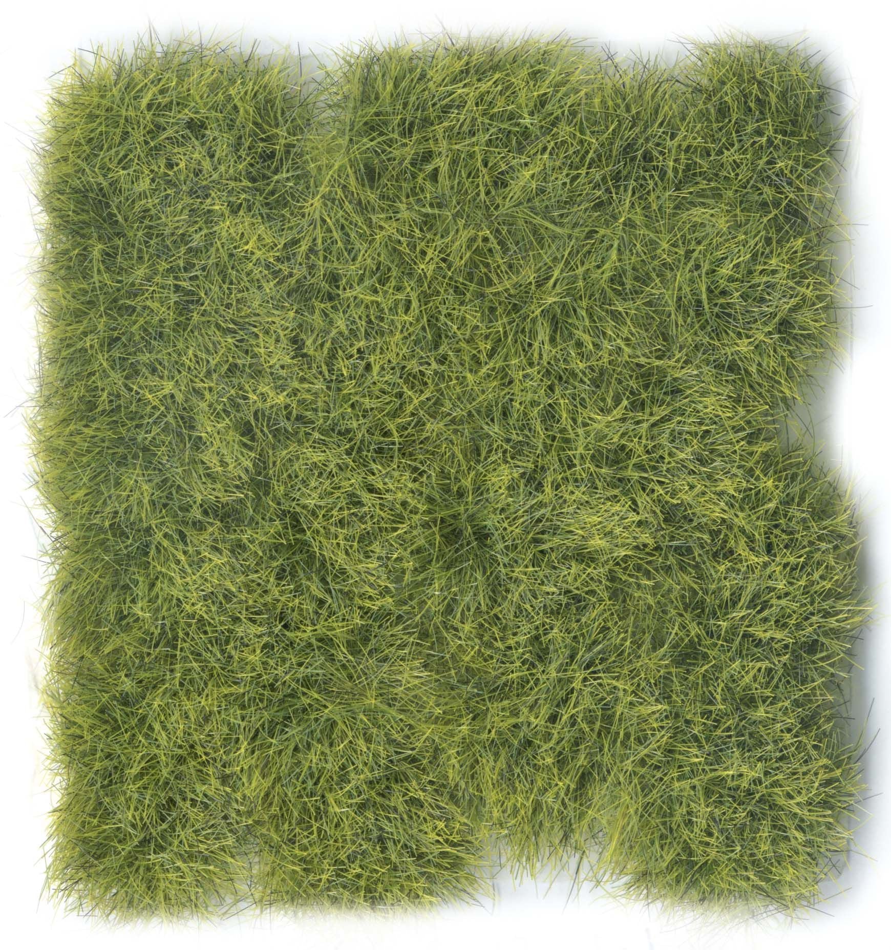 SC428 - Wild Tuft - Jungle - 12 mm