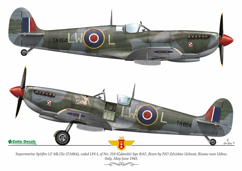 ED48003 - Sexy Spitfire -  1:48