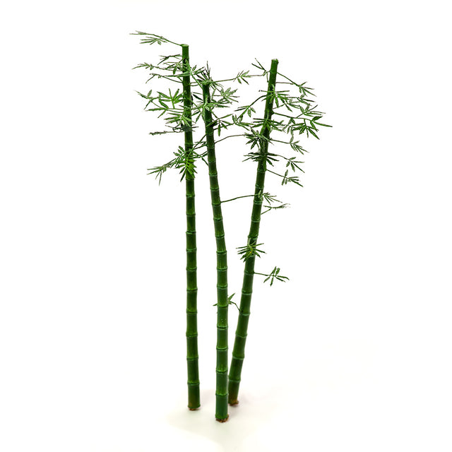 S-082 - Bamboo Trunks & Leaves Size M