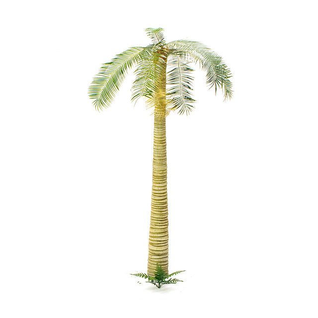 S-079 - Coconut Palm Trunk Size M