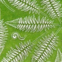 AK8134 - FERN 1/32 AND 1/35