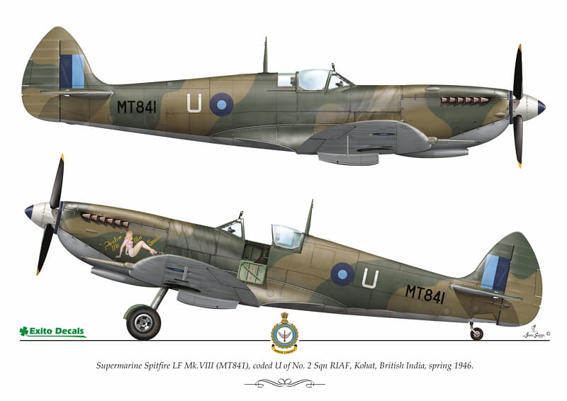 ED48003 - Sexy Spitfire -  1:48