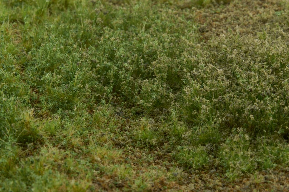 WB-M006 - Grass Mat - Rough Meadow Late Summer Weeds C - Martin Welberg Scenic Studios
