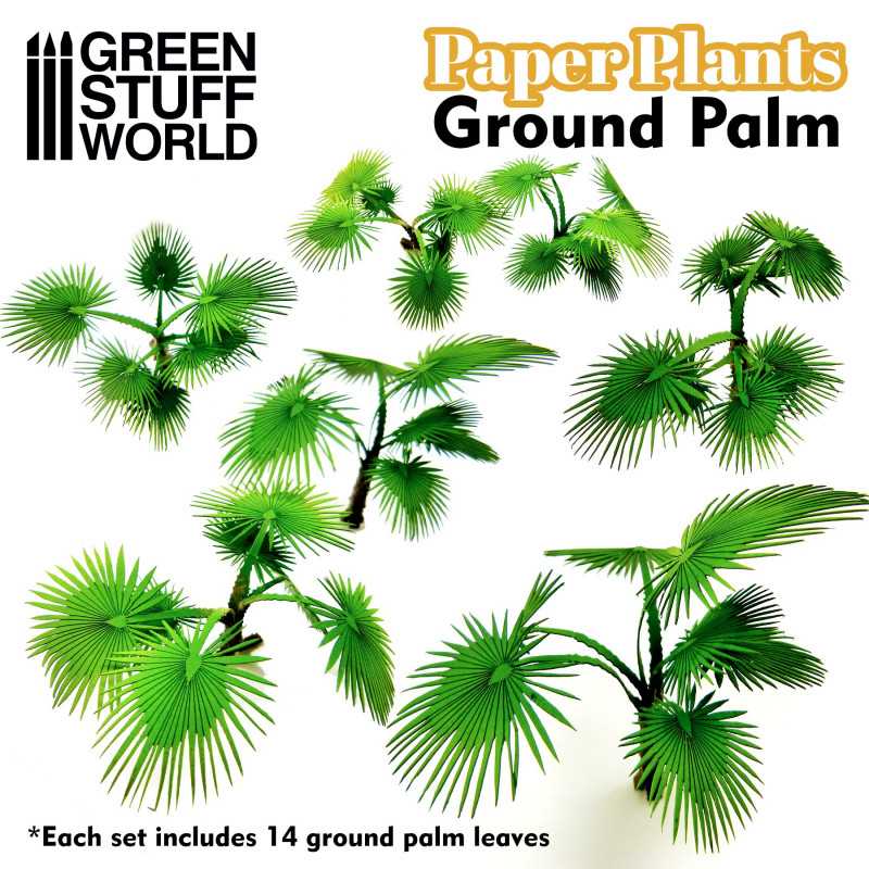 10364 - Paper plants - Ground Palm