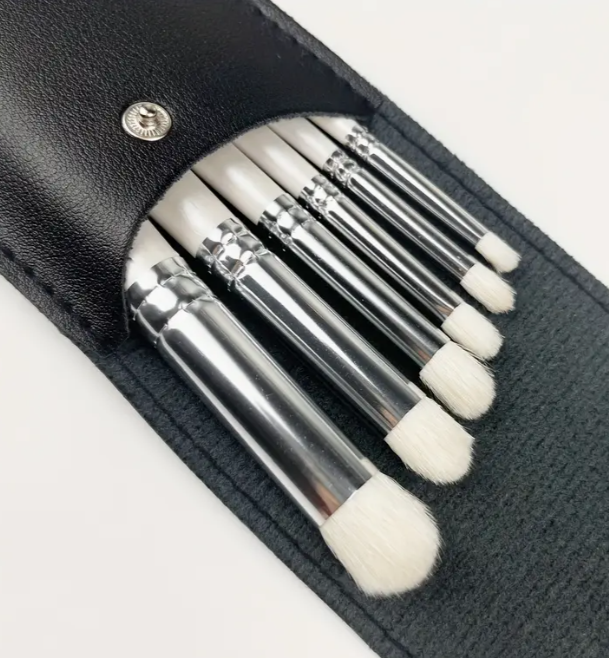 B030- 6pc Dry Brush Set - Sizes 2,4,6,8,10,12 - Includes Faux leather case