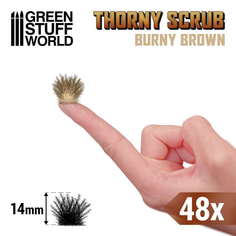11506 - Thorny spiky scrub - Burny Brown