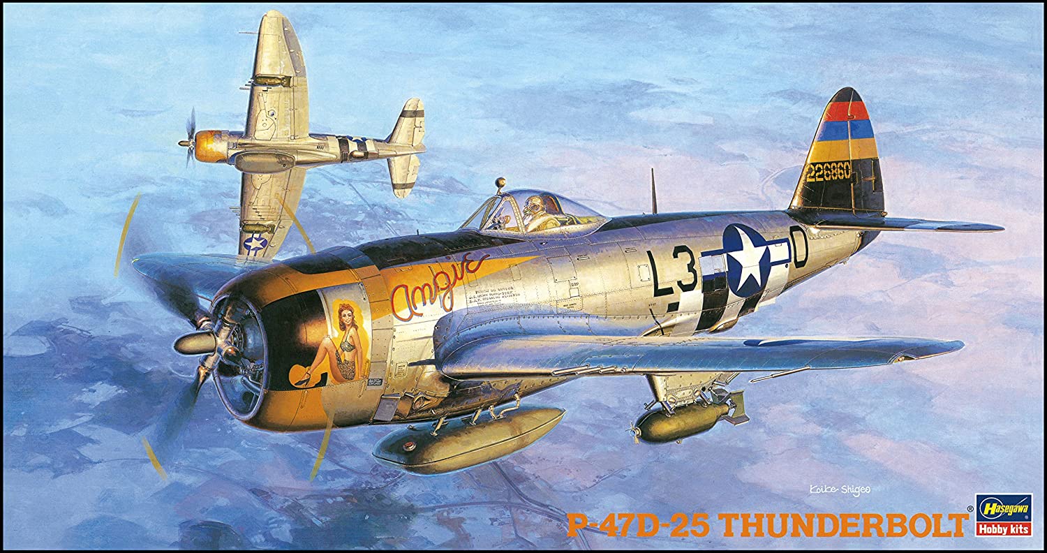 09140 - Hasegawa 1/48 - P-47D Thunderbolt