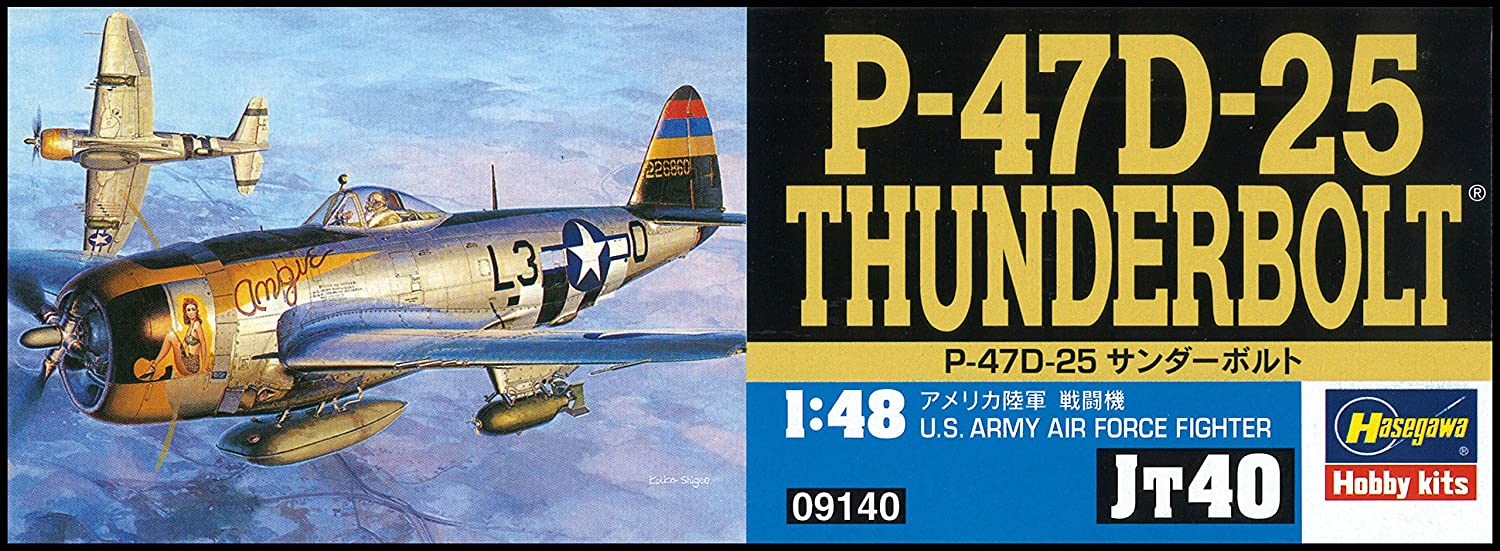 Hasegawa 1/48 Scale P-47D Thunderbolt Model Kit – Detailed Plastic Aircraft Model For Builders