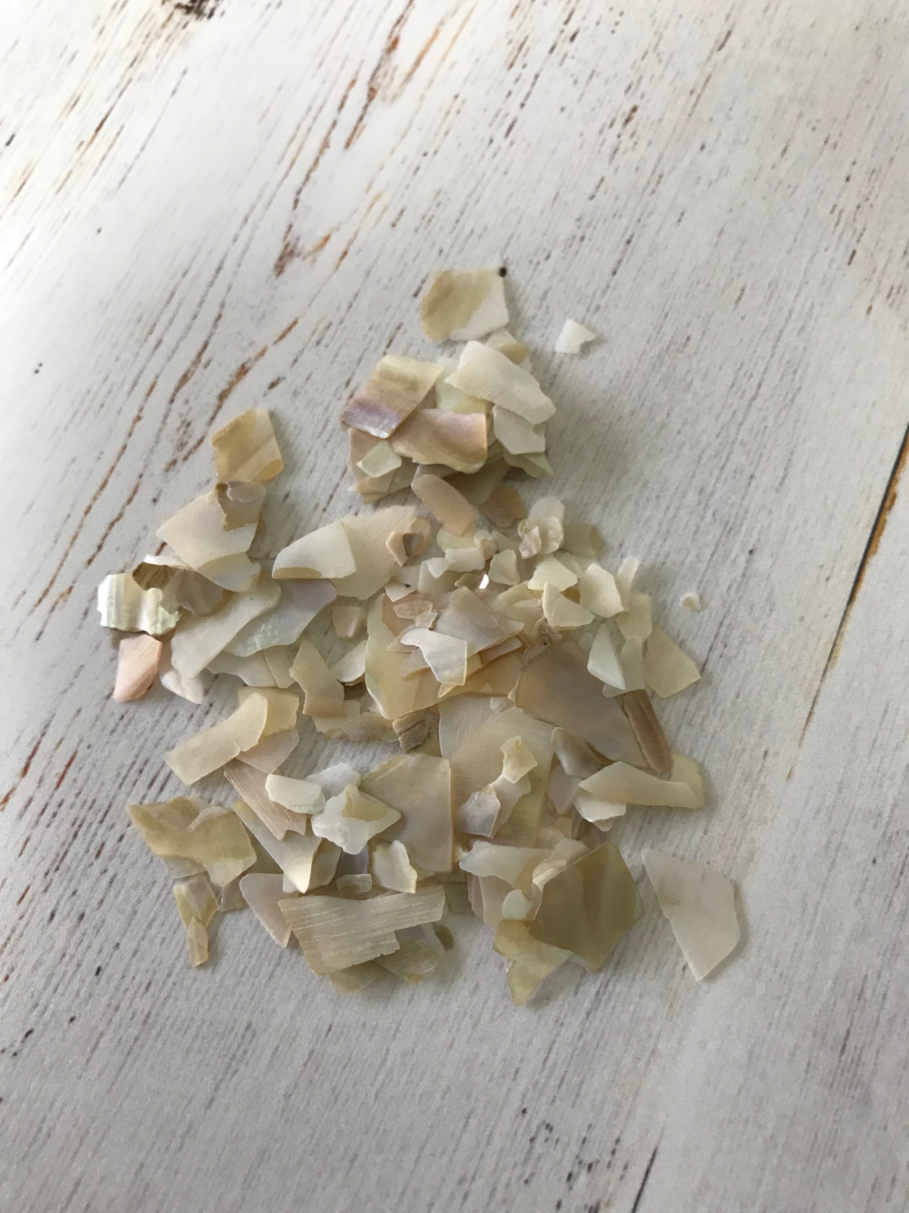 Shell Pieces 5 grams