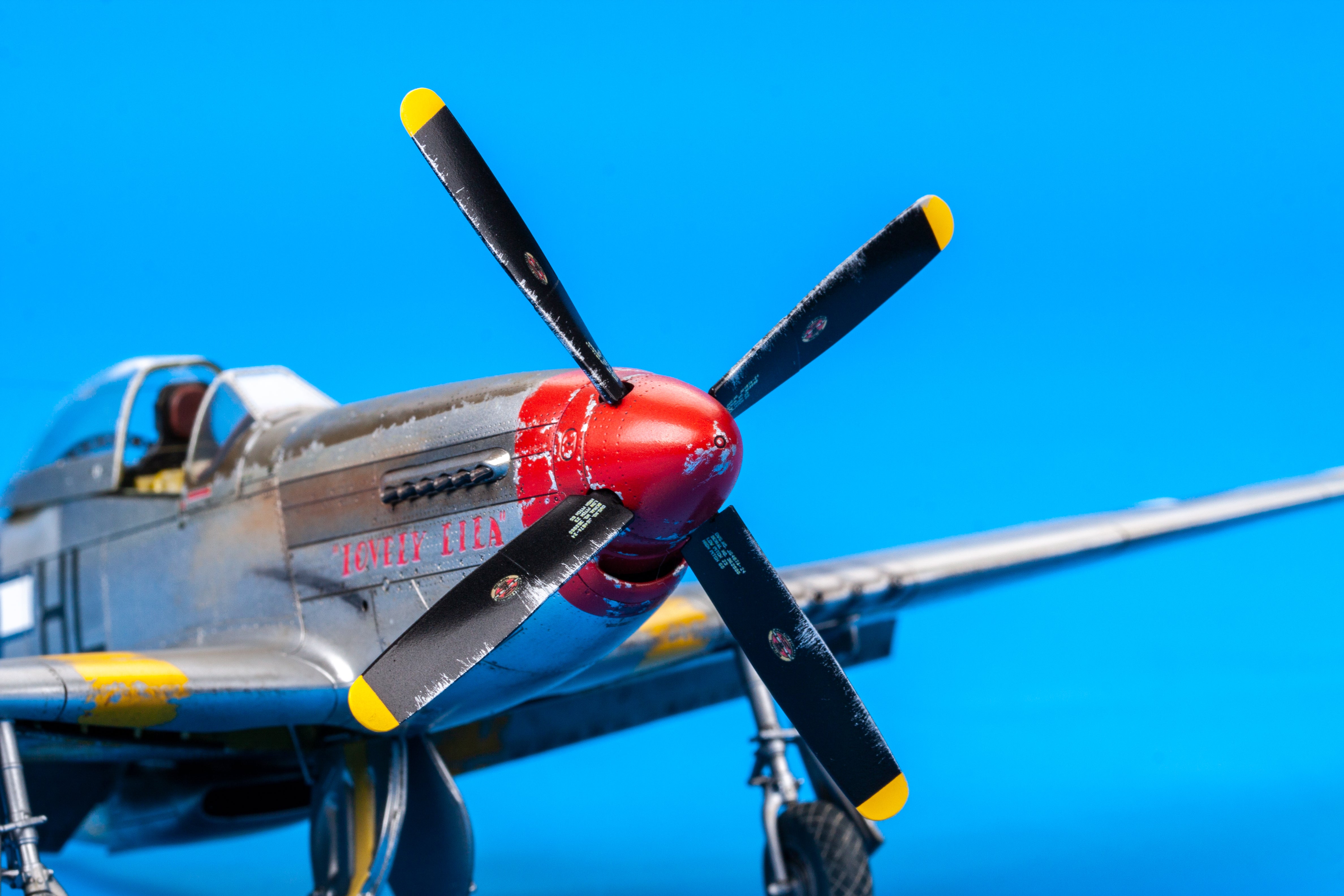 P51D MUSTANG - 模型