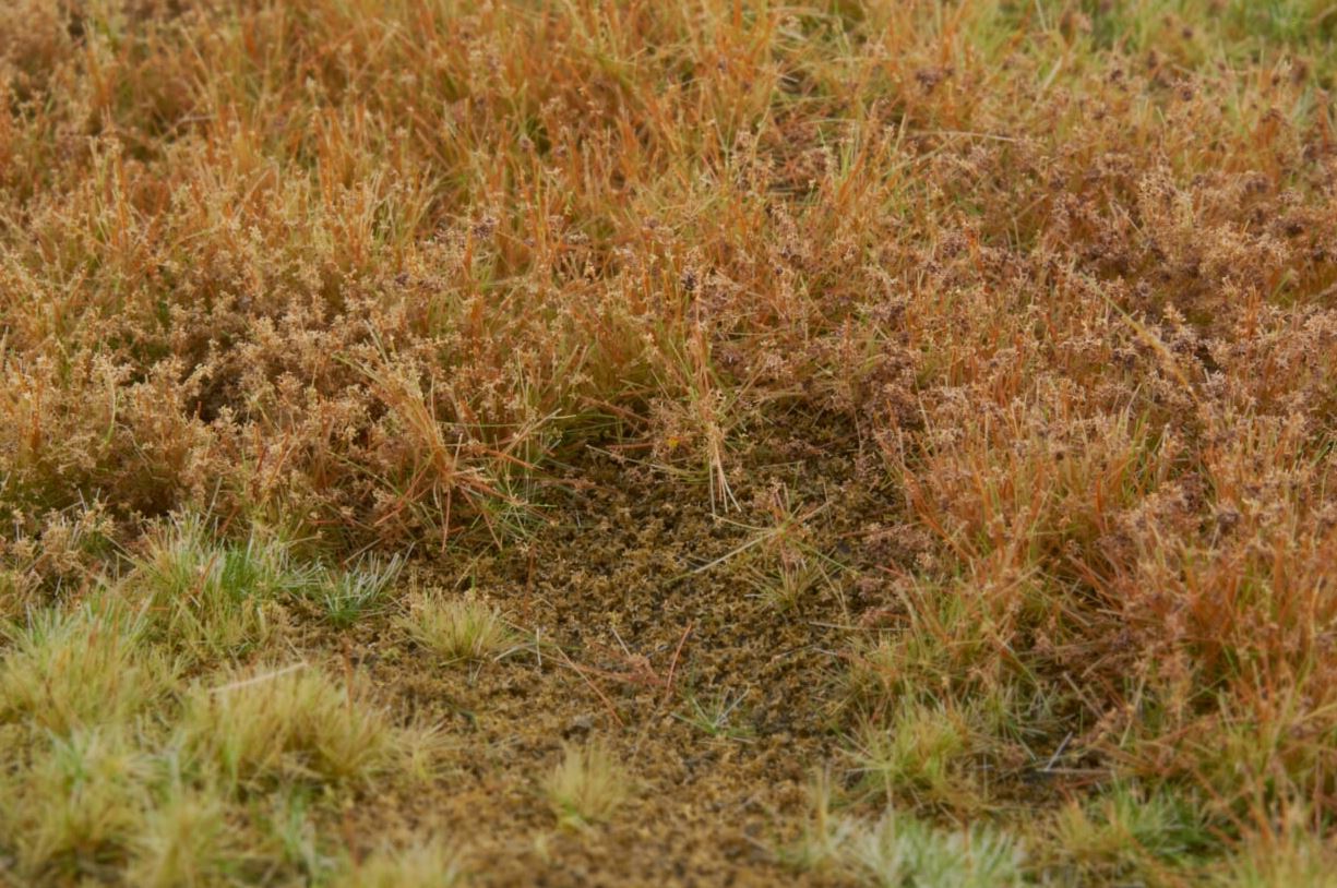 WB-M014 - Grass Mat - Rough Meadow Winter Weeds G - Martin Welberg Scenic Studios
